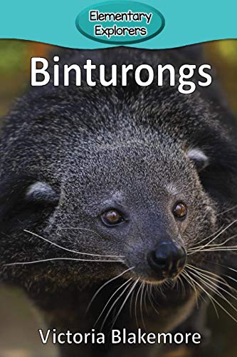 9781947439382: Binturongs (Elementary Explorers)