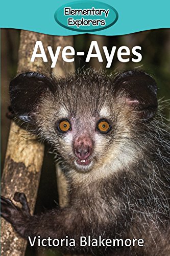 Stock image for Aye-Ayes for sale by ThriftBooks-Dallas