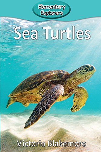 Stock image for Sea Turtles (Elementary Explorers) for sale by GF Books, Inc.