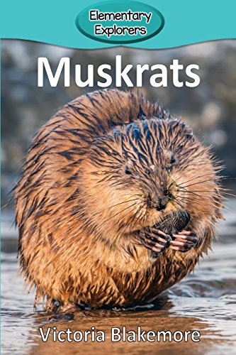 Stock image for Muskrats (Elementary Explorers) for sale by Books From California
