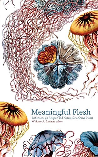 Beispielbild fr Meaningful Flesh: Reflections on Religion and Nature for a Queer Planet zum Verkauf von Revaluation Books