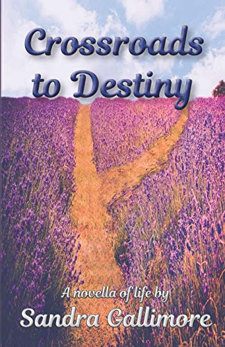 Beispielbild fr Crossroads to Destiny: A Novella of Life zum Verkauf von Lucky's Textbooks