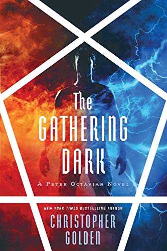 Beispielbild fr The Gathering Dark (Shadow Saga) zum Verkauf von More Than Words