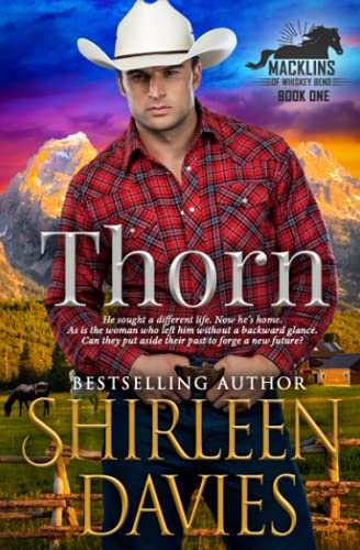 Stock image for Thorn: A second chance contemporary western romance. (Macklins of Whiskey Bend) for sale by Books Unplugged