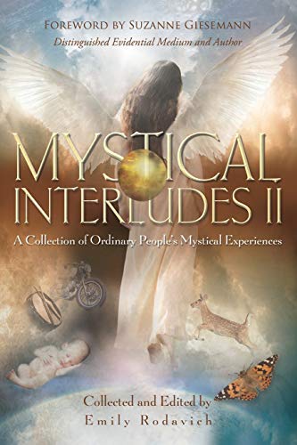 Stock image for Mystical Interludes II: A Collection of Ordinary Peoples Mystical Experiences for sale by HPB-Diamond