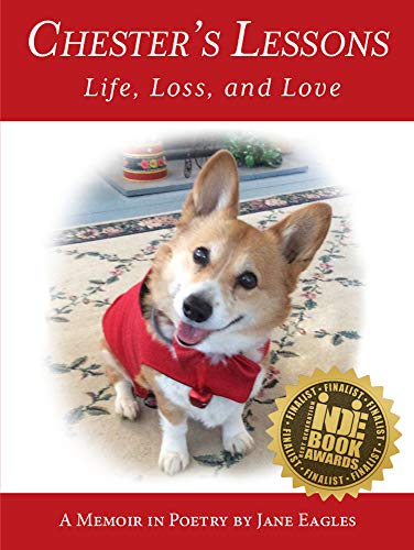 Beispielbild fr Chester's Lessons: Life, Loss, and Love zum Verkauf von ThriftBooks-Atlanta