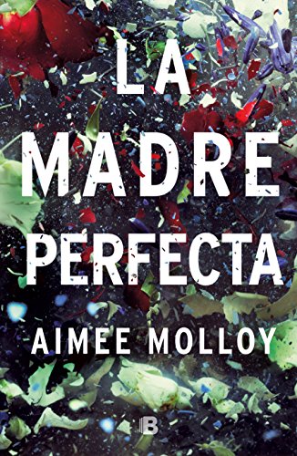 Beispielbild fr La Madre Perfecta / the Perfect Mother zum Verkauf von Better World Books