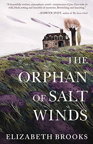 9781947793224: The Orphan of Salt Winds