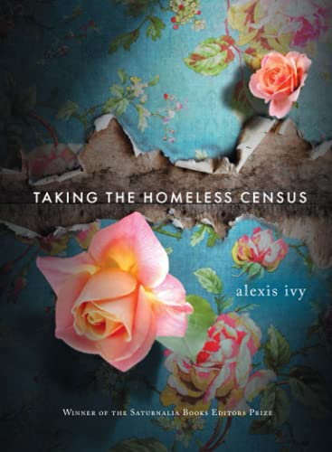 Beispielbild fr Taking the Homeless Census zum Verkauf von Better World Books