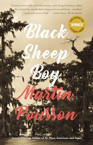 9781947856066: Black Sheep Boy: A Novel in Stories