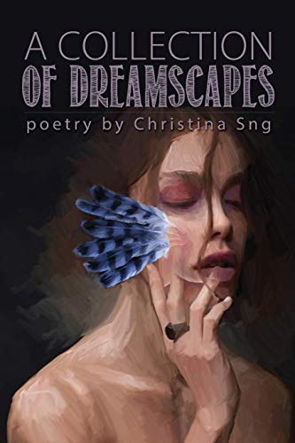 9781947879171: A Collection of Dreamscapes