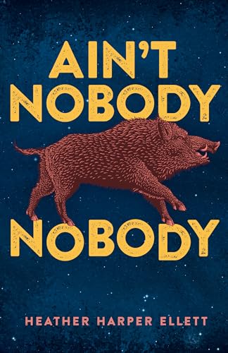 Beispielbild fr Ain't Nobody Nobody zum Verkauf von Better World Books