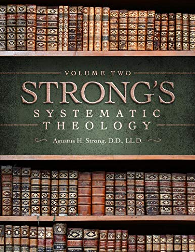 Stock image for Systematic Theology: Volume 2: The Doctrine of Man for sale by -OnTimeBooks-