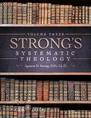 Stock image for Systematic Theology: Volume 3: The Doctrine of Salvation for sale by ThriftBooks-Dallas