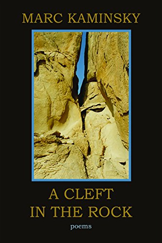 Stock image for A Cleft in the Rock for sale by Better World Books