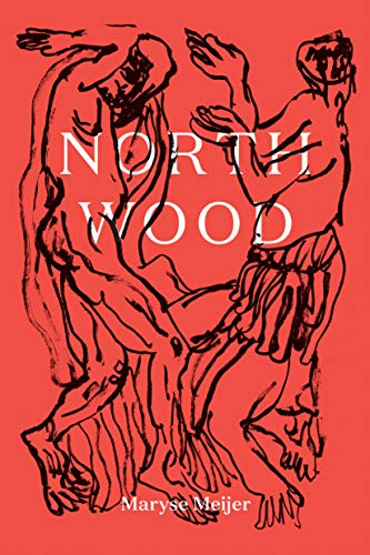Stock image for Northwood: A Novella for sale by Open Books