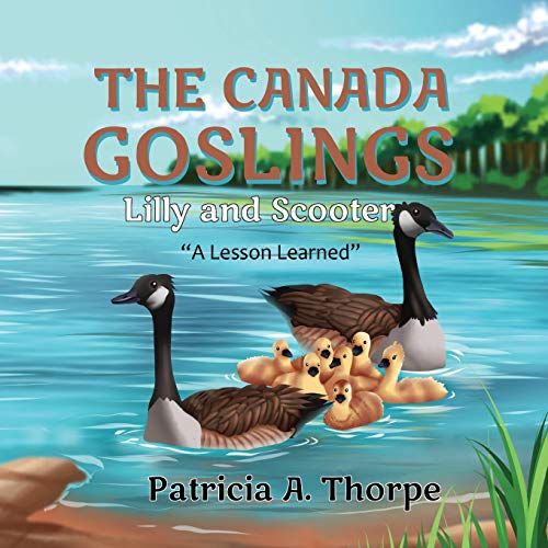 Imagen de archivo de The Canada Goslings : Lilly and Scooter a Lesson Learned a la venta por Better World Books: West