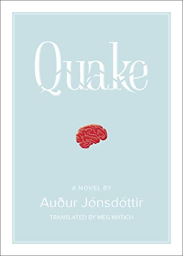 Stock image for Quake: A Novel for sale by Books-FYI, Inc.