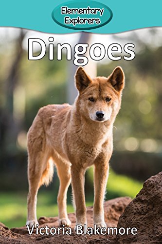 Stock image for Dingoes (Elementary Explorers) for sale by SecondSale