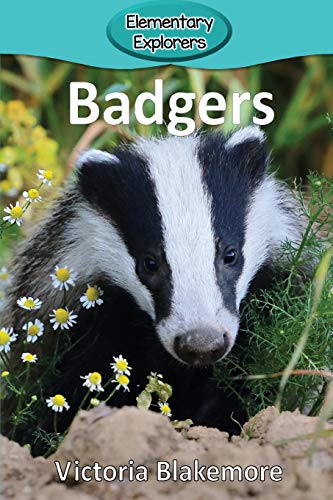9781948388443: Badgers (Elementary Explorers)