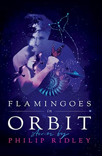 9781948405041: Flamingoes In Orbit