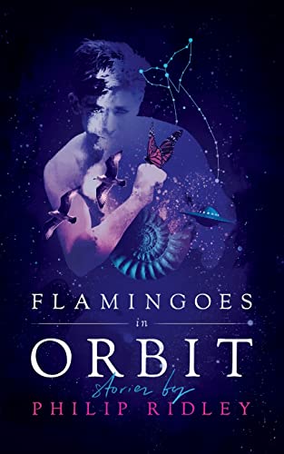 9781948405058: Flamingoes in Orbit