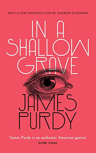 9781948405249: In a Shallow Grave (Valancourt 20th Century Classics)
