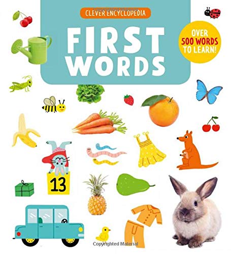 Beispielbild fr First Words: Over 500 Words to Learn! zum Verkauf von Buchpark