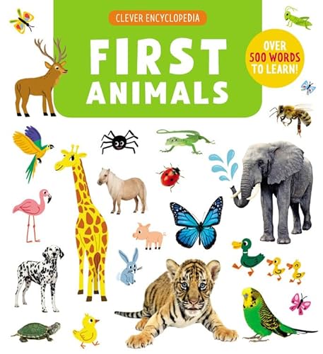 Beispielbild fr First Animals: Over 500 Words to Learn! zum Verkauf von ThriftBooks-Dallas