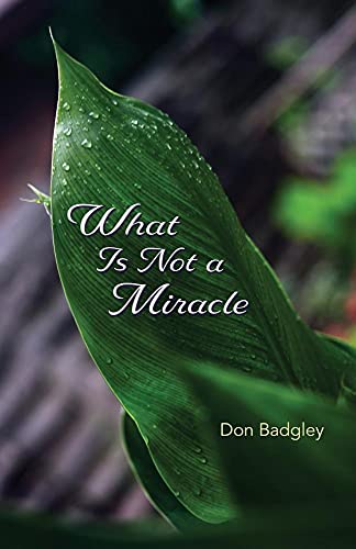 9781948461870: What Is Not a Miracle