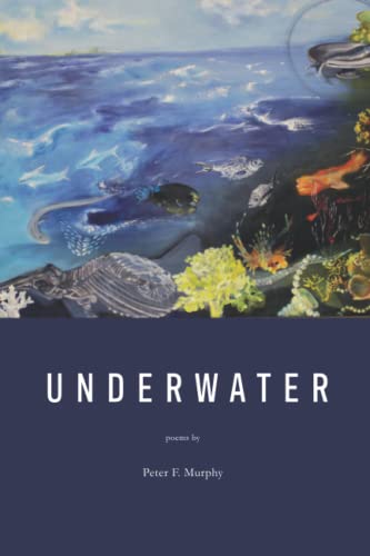 Stock image for UNDERWATER for sale by Better World Books