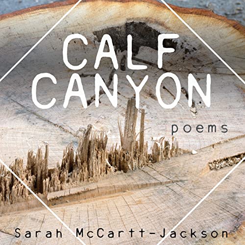 9781948559218: Calf Canyon: Poems (10) (Mineral Point Poetry)