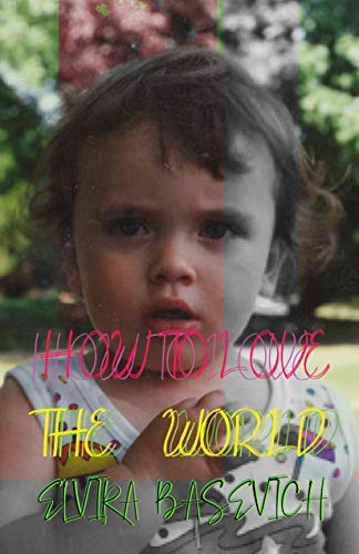 Imagen de archivo de How to Love the World a la venta por GF Books, Inc.