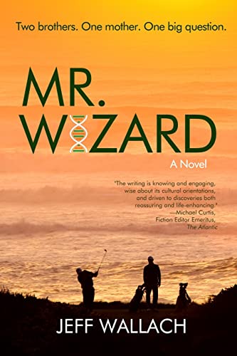 Imagen de archivo de Mr. Wizard: A Novel a la venta por BooksRun