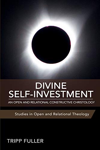 Stock image for Divine Self-Investment: An Open and Relational Constructive Christology for sale by HPB-Emerald