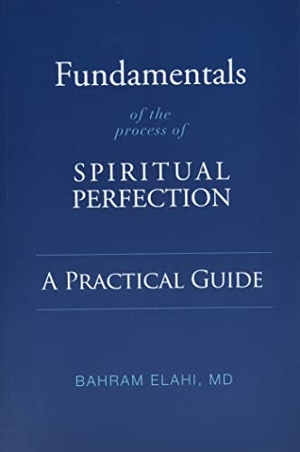 Stock image for Fundamentals of the Process of Spiritual Perfection: A Practical Guide for sale by Books-FYI, Inc.
