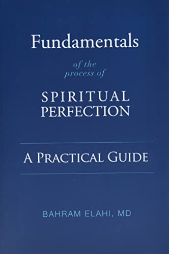 Stock image for Fundamentals of the Process of Spiritual Perfection: A Practical Guide for sale by SecondSale