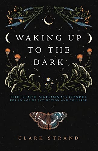 Stock image for Waking Up to the Dark: The Black Madonna's Gospel for An Age of Extinction and Collapse for sale by HPB-Emerald