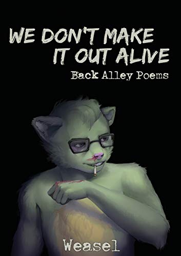 Stock image for We Don't Make It Out Alive for sale by Books Puddle