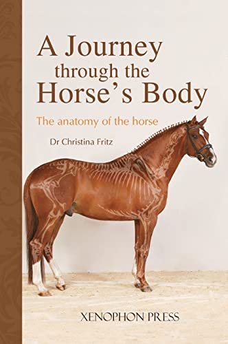Stock image for A Journey Through the Horse's Body: The Anatomy of the Horse for sale by GreatBookPrices