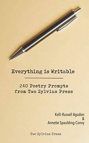 Beispielbild fr Everything is Writable: 240 Poetry Prompts from Two Sylvias Press zum Verkauf von Blue Vase Books