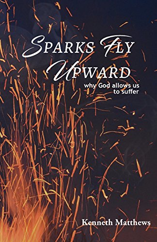 Imagen de archivo de Sparks Fly Upward: Why God Allows Us to Suffer a la venta por Lakeside Books