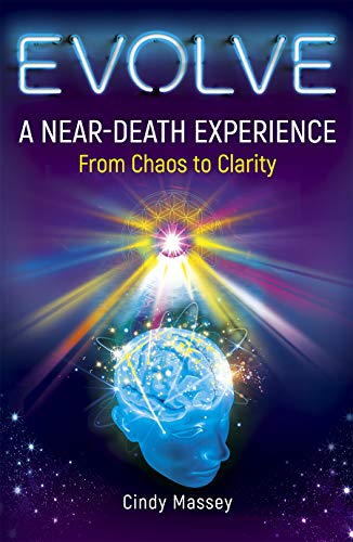 Beispielbild fr Evolve: A Near-Death Experience From Chaos to Clarity zum Verkauf von medimops