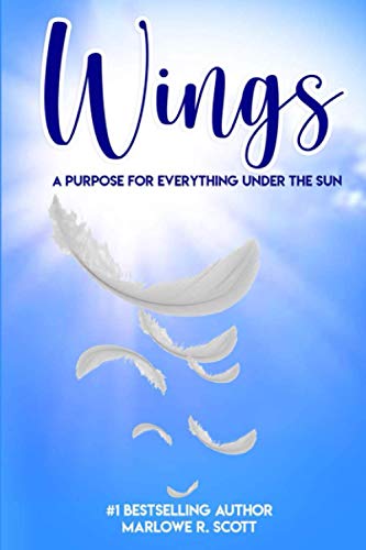 9781948853217: Wings: A Purpose for Everything Under the Sun