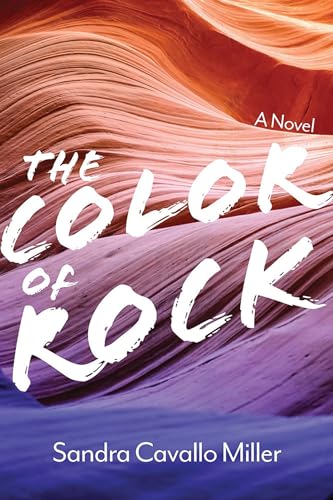 Stock image for The Color of Rock : A Novel for sale by Better World Books