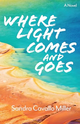 Stock image for Where Light Comes and Goes: A Novel Volume 2 for sale by ThriftBooks-Dallas