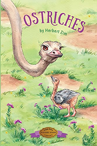 Imagen de archivo de Ostriches (Nature Study Library) a la venta por GF Books, Inc.