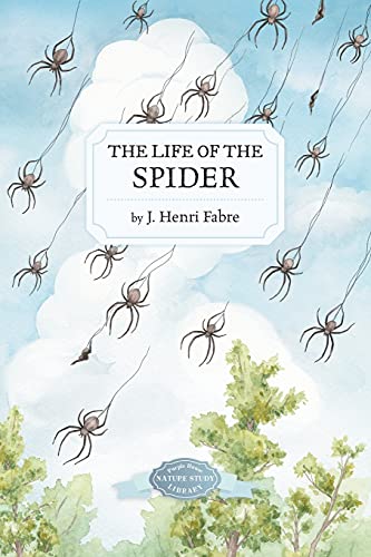 Beispielbild fr The Life of the Spider zum Verkauf von GreatBookPrices