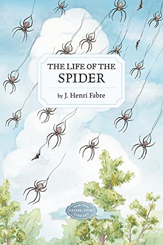 Imagen de archivo de The Life of the Spider a la venta por GreatBookPrices