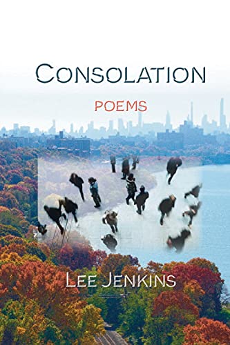 Stock image for Consolation; Poems for sale by Book Deals
